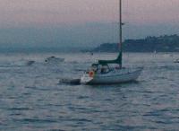 Picture for song 'Slow Jamz' by artist 'Discfunktional Records'