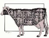 Picture for song 'Blaque Meat' by artist 'DisinVectant'