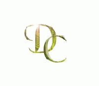 Picture for song 'Fuhk It (Fakers) Remix' by artist 'Disiplinary Committee'