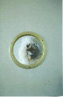 Picture for song 'Toy Story' by artist 'Disturbios en Andromeda'