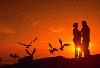 Picture for song 'Sunset Goodbyes' by artist 'Ditda'