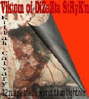 Picture for song '4Uvirtue...freestyle' by artist 'DiZaZta StrYkz'