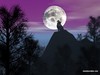 Picture for song 'Midnight (older track)' by artist 'DJ Ano'