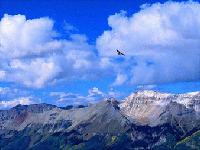 Picture for song 'Touching the Sky' by artist 'DJ Art'