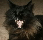 Picture for song 'Into The Sun (Badaxe's Red Supergiant Mix)' by artist 'DJ Bad Axe'