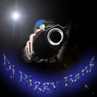 Picture for song 'Dj Paul-Break The Law 95 (chopped)' by artist 'Dj Biggy Bang'