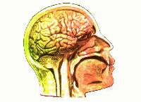 Picture for song 'Thought Process' by artist 'DJ Blarney'