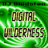 Picture for song 'Digital Wilderness' by artist 'DJ Bludston'