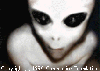 Picture for song 'Evolver' by artist 'dj bonzo'