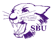 Picture for song 'D-Dot Bia Bia Freestyle' by artist 'Dj Brizzle and Da SBU Cats'