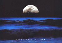 Picture for song '$FALLIN'$' by artist 'DJ COPY MAXXX BEATZ'