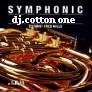 Picture for song 'symphony' by artist 'DJ cotton 1'
