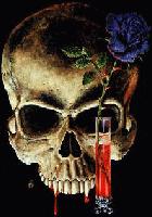 Picture for song 'Light Night' by artist 'DJ Dad?!?'