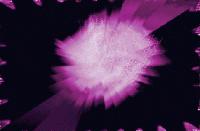 Picture for song 'Ê&#331;vì&#351;&#299;&#335;&#330;' by artist 'DJ Dassey'