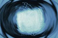 Picture for song 'A Dark Lonley World' by artist 'DJ Dassey'