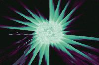 Picture for song 'Lost Emotionally' by artist 'DJ Dassey'