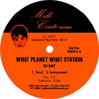 Picture for song 'What Planet What Station?(Beyond This World Remix)' by artist 'dj day'