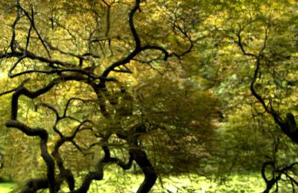 Picture for song 'OldSchool...TRIPHOP' by artist 'Dj Destro'