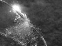 Picture for song 'OnebyOne' by artist 'Dj Destro'