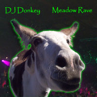 Picture for song 'Meadow Rave' by artist 'DJ Donkey'