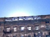 Picture for song 'Timbo' by artist 'DJ_FLiPFLoP'