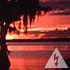 Picture for song '== Ibia == (remix)' by artist 'djFremen'