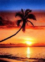 Picture for song 'Time Travellin' by artist 'DJ Friction'