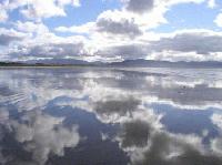 Picture for song 'Reflection' by artist 'DJ Friction'