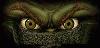 Picture for song 'Snake Eyes' by artist 'DJ Friction'