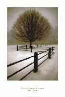 Picture for song 'Remember When' by artist 'DJ Goodtimes'