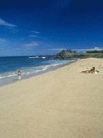 Picture for song 'Hawaii' by artist 'Dj Izzy'