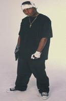 Picture for song 'Goose Duck Booty' by artist 'DJ Jay-R'