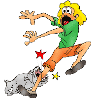 Picture for song 'Don't Bite' by artist 'DJ Jive Turkey'