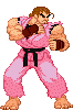 Picture for song 'Street Fighter' by artist 'DJ Jive Turkey'