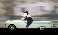 Picture for song 'Who's That?' by artist 'DJ Jive Turkey'