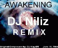 Picture for song 'Awakening (DJ Niliz RMX)' by artist 'DJ Kay-Eff'