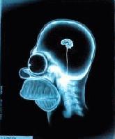 Picture for song 'sub rocker' by artist 'DJ kev e c'