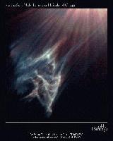 Picture for song 'Dhamma (Truth, Justice, and Righteouness)' by artist 'DJ Masamune'