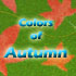 Picture for song 'Colors of Autumn' by artist 'DjMeas'