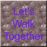 Picture for song 'Let's Walk Together' by artist 'DjMeas'