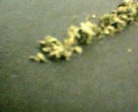 Picture for song 'STAY HIGH!!' by artist 'DJ MR TWIST'