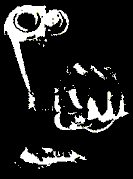 Picture for song 'Lemeto Bellaco!' by artist 'Dj Ngro Music'