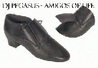 Picture for song 'Amigos Of Life' by artist 'DJ Pegasus'