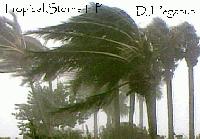 Picture for song 'Cyclone' by artist 'DJ Pegasus'