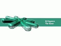 Picture for song 'The Name' by artist 'DJ Pegasus'