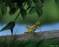 Picture for song 'Dj Perspective - EP DONT KNOW WHY ?' by artist 'Dj Perspective'