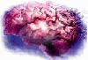 Picture for song 'Machine of Thought' by artist 'DJ Phi'