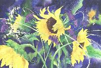 Picture for song 'Summertime Porno (Instrumental)' by artist 'DJ Phillee Produckshunz'