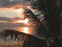 Picture for song 'ULTIMENT FANTASY' by artist 'DJ-PLOS'