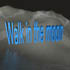 Picture for song 'Walk in the moon' by artist 'DJ Puipui'